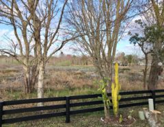 Patio Villa in Rio Ponderosa 2/2 Backs to Nature Perserve The Villages Florida