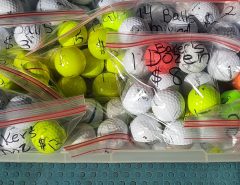 Golf Balls- Price Dropped! Reconditioned ; $5 per dozen*:  $6-$9dz on better ball The Villages Florida