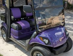 Golf Cart Rental – $350 per month The Villages Florida