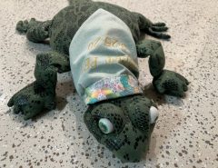 Handmade Lizard The Villages Florida