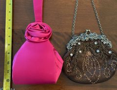 Small Party Purses The Villages Florida