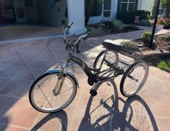 Kent Adult Tricycle Bike The Villages Florida