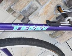 TERRY SOLSTICE BICYCLE The Villages Florida