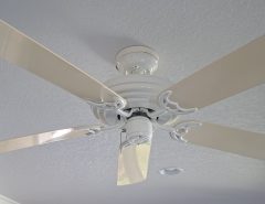 To hunter ceiling fans for sale… twenty five dollars a piece in good condition period. The Villages Florida