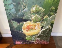 Cactus canvas picture The Villages Florida