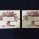 Family Tree Record Book The Villages Florida