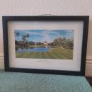 Masters Special! Price Drop! Classic Golf Course Pictures- Augusta, Bay Hill and Bellerive C.C. The Villages Florida