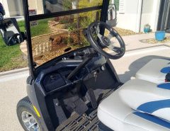 2019 Yamaha Drive2 Quiet Tech EFI golf cart The Villages Florida