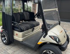 Yamaha EFI Gas Golf Cart The Villages Florida