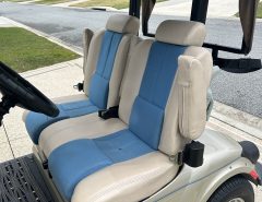 Golf Cart For Rent The Villages Florida