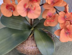 Silk Floral orchard arrangement, very decorative container The Villages Florida