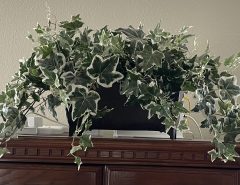 Artificial Ivy in Large Decorative Metal Planter-REDUCED The Villages Florida