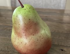 Realistic Artificial Pears-REDUCED The Villages Florida