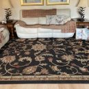 10 x 13 area rug The Villages Florida