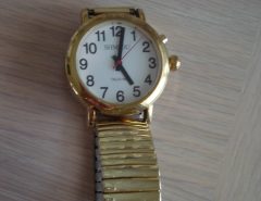 English Talking Quartz Watch for Blind, Visually Impaired The Villages Florida