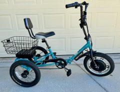 ELECTRIC TRIKE The Villages Florida