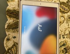 iPad 8th generation 32 GB 10.2 inch wi-if + cellular The Villages Florida