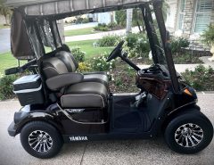 2018 Yamaha QuieTech EFI Gas Golf Cart – Excellent Condition The Villages Florida