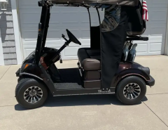 Yamaha Gas 2019 golf cart The Villages Florida