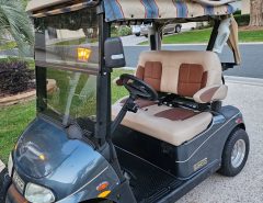 2009 EZGO RXV Golf Cart Electric 48 V The Villages Florida