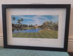 Price Reduced- Classic Golf Pictures Bellerive and Bay Hill!!! The Villages Florida