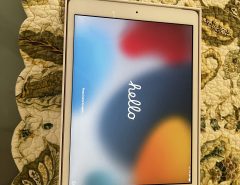 iPad 8th generation 32 GB 10.2 inch wi-if + cellular The Villages Florida