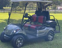 GAS 4 seater 2015 The Villages Florida