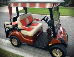 2019 Yamaha QuieTech Drive 2 Flip Seat Gas Cart: Like New Condition The Villages Florida
