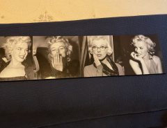 MARILYN MONROE 4 FACES The Villages Florida