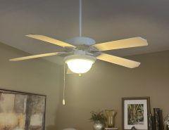 52” white ceiling fan with light The Villages Florida