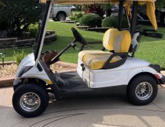 2008 Yamaha Gas 2 Seater – Low Mileage The Villages Florida