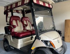 2017 Yamaha Quietech Golf Cart The Villages Florida
