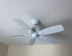 42 in ceiling fan The Villages Florida