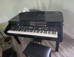 Digital Baby Grand The Villages Florida
