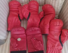 2 Pairs Everlast Boxing Gloves and light bag gloves The Villages Florida