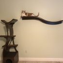 Quality Cat Furniture The Villages Florida