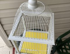 Hanging Decor Bird Cage The Villages Florida