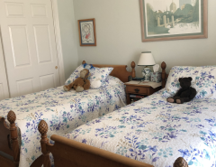 Antique Twin Beds The Villages Florida