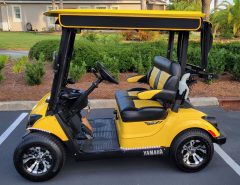 2019 Yamaha Gas EFI Drive2 QuieTech Golf Cart The Villages Florida