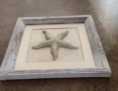 Starfish picture The Villages Florida