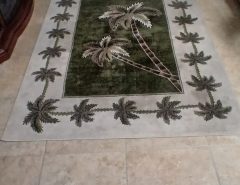 Area rug 5×7 The Villages Florida