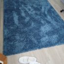 Shag accent rug The Villages Florida