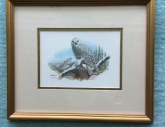 Snowy Owl Painting The Villages Florida