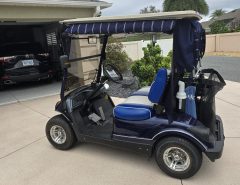 Yamaha Golf Cart The Villages Florida