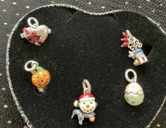 Brighton Holiday Charm Set The Villages Florida