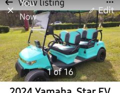 2024 Yamaha Star EV  – 4 seater The Villages Florida