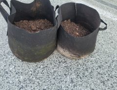 Fabric Pots with Organic Soil The Villages Florida