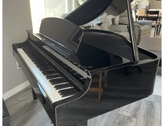 Yamaha Clavinova CLP-665 GPPE The Villages Florida