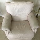 Sleeper Sofa and Recliner The Villages Florida