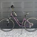 Women’s Suimano Florist Bicycle The Villages Florida